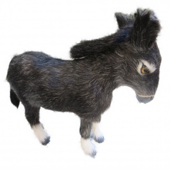 Schwarzer Esel - Standardmodell